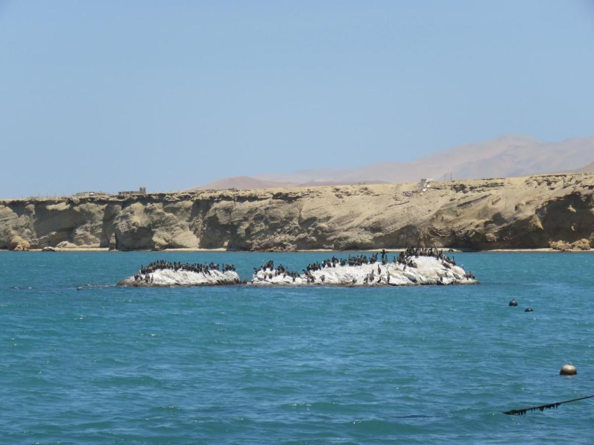 Paracas Apartment Ngoại thất bức ảnh